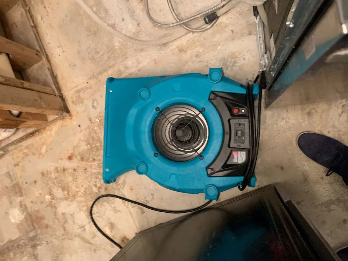 Air mover drying equipment for Mold Remediation & Removal in Fernley